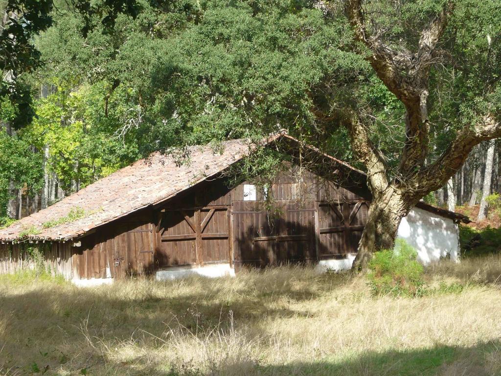 Apartamento à Côté Marin De Port D'albret *