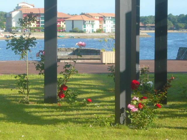 à Côté Marin De Port D'albret